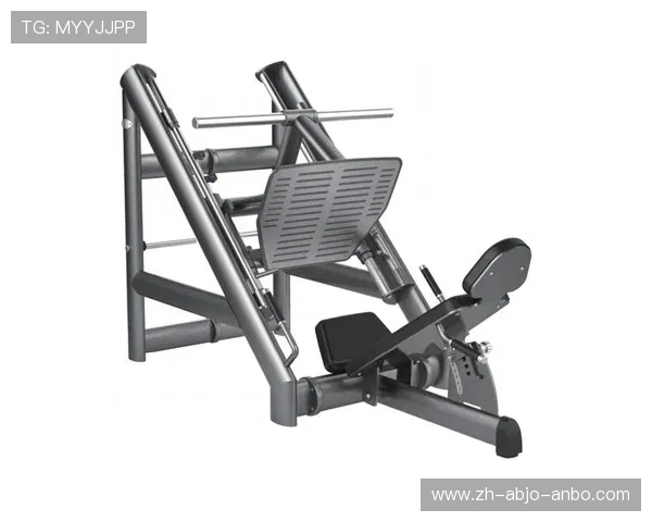 大型多功能健身器材的特点及使用体验