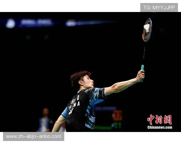 羽毛球亚锦赛2014