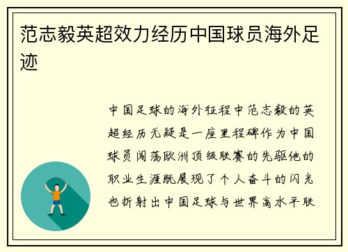 范志毅英超效力经历中国球员海外足迹