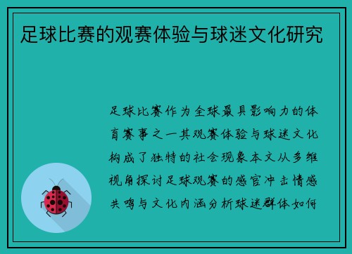 足球比赛的观赛体验与球迷文化研究