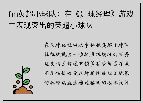 fm英超小球队:在《足球经理》游戏中表现突出的英超小球队