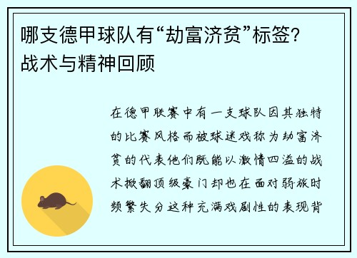 哪支德甲球队有“劫富济贫”标签？战术与精神回顾